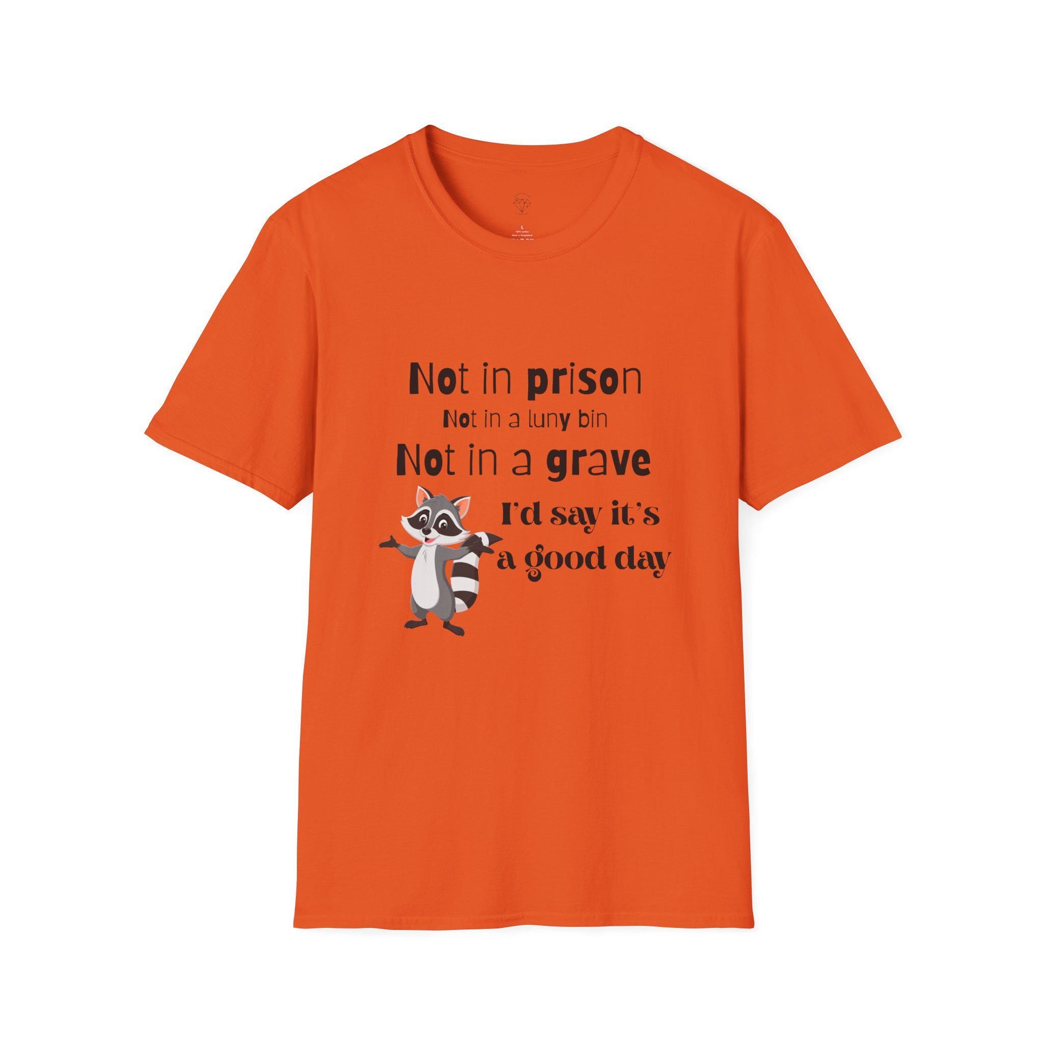 Funny Raccoon T-Shirt: It's a Good Day - Unisex Softstyle Tee