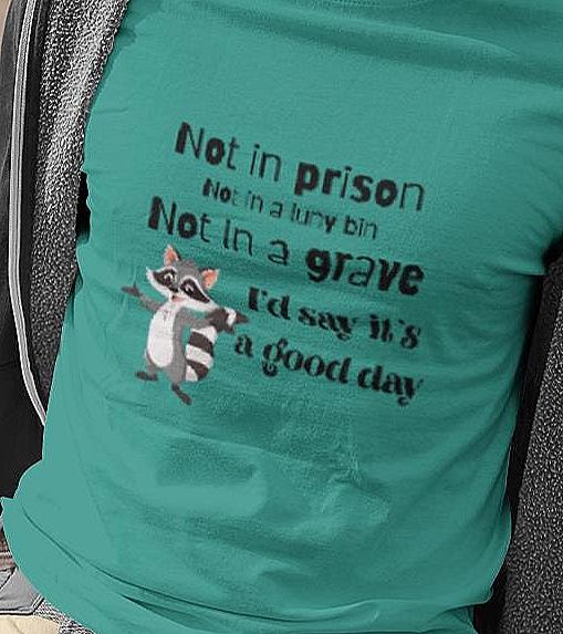 Funny Raccoon T-Shirt: It's a Good Day - Unisex Softstyle Tee